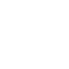 li Logo
